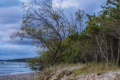 爱尔兰政府加大对女子橄榄球投资力度，橄榄球爱尔兰和北爱尔兰