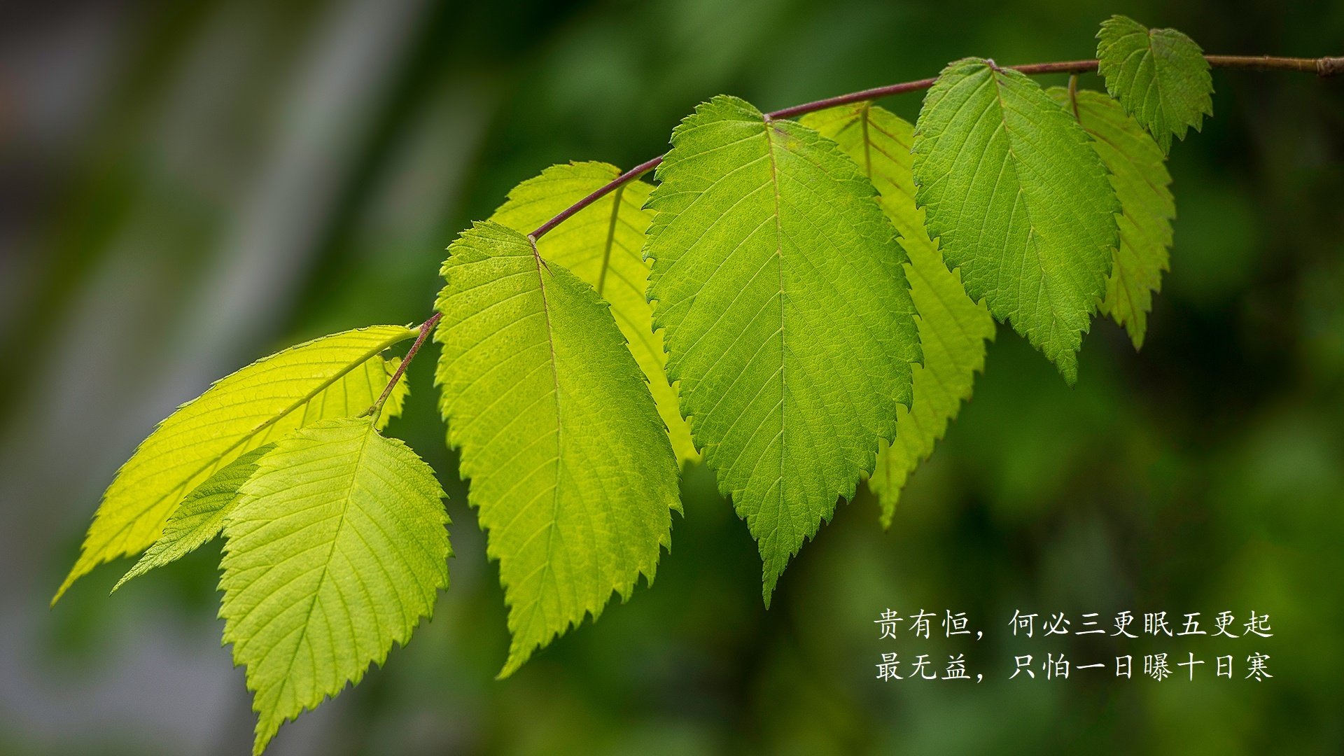 运动员训练表现评估体系，运动员训练状态监测量表